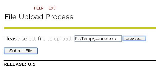 File Upload Process window - Submit