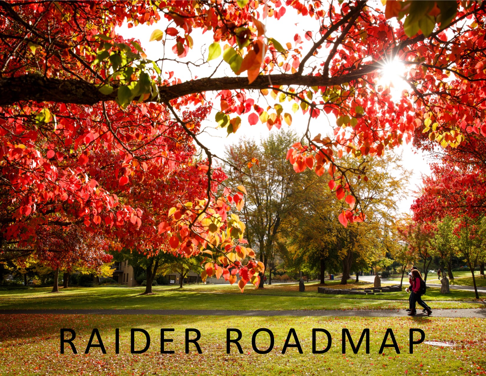 Raider Roadmap