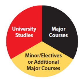 Pie Chart of degree requirements - red slice is university studies, black slice is major courses, yellow slice is minor or elective courses