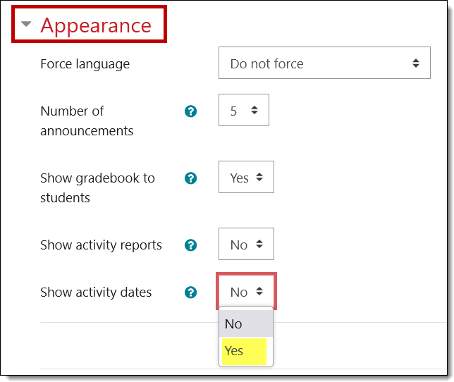 Appearance options screenshot with show activity dates highlighted