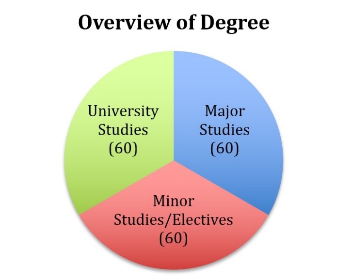 pie chart overview of degree