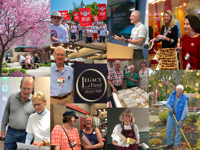 a collage of volunteers engaged in various activities