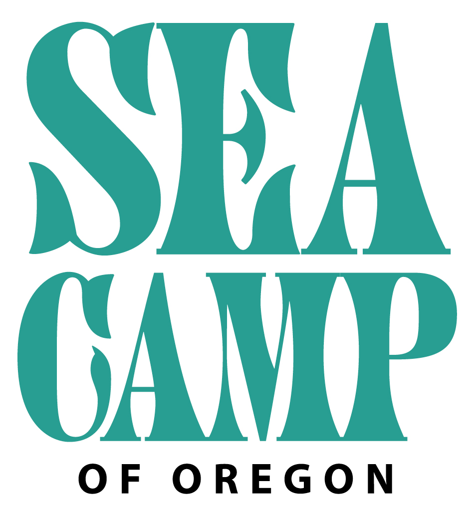 SOU Sea Camp Logo 1